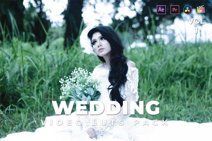 Luts预设70组精选婚礼写真mv影片风格化调色预设wedding Video Luts 后期资源吧